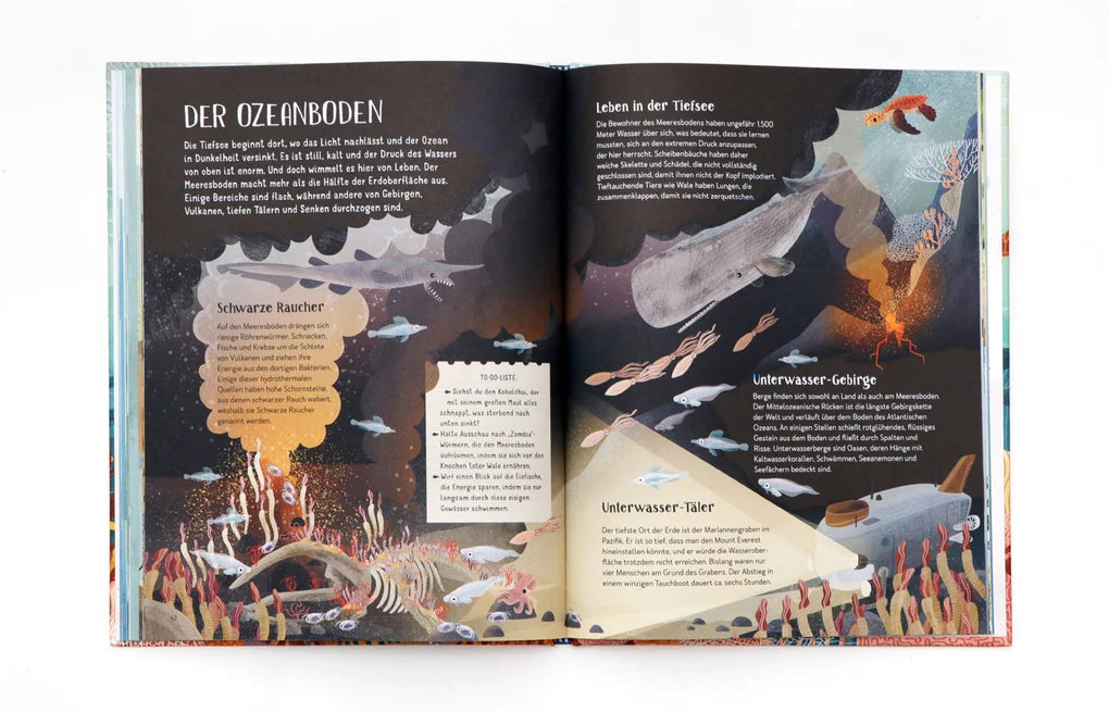 Laurence King Verlag, Mit Freddi durch die Ozeane, Barr