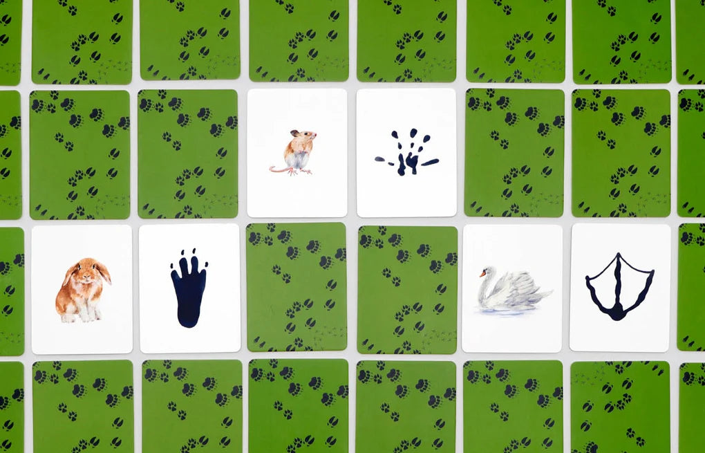 Laurence King Verlag, Tiere in deiner Umgebung, Memo-Spiel