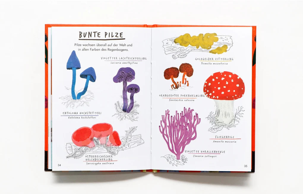 Hallo Pilze, Naturführer, Buch, Laurence King Verlag