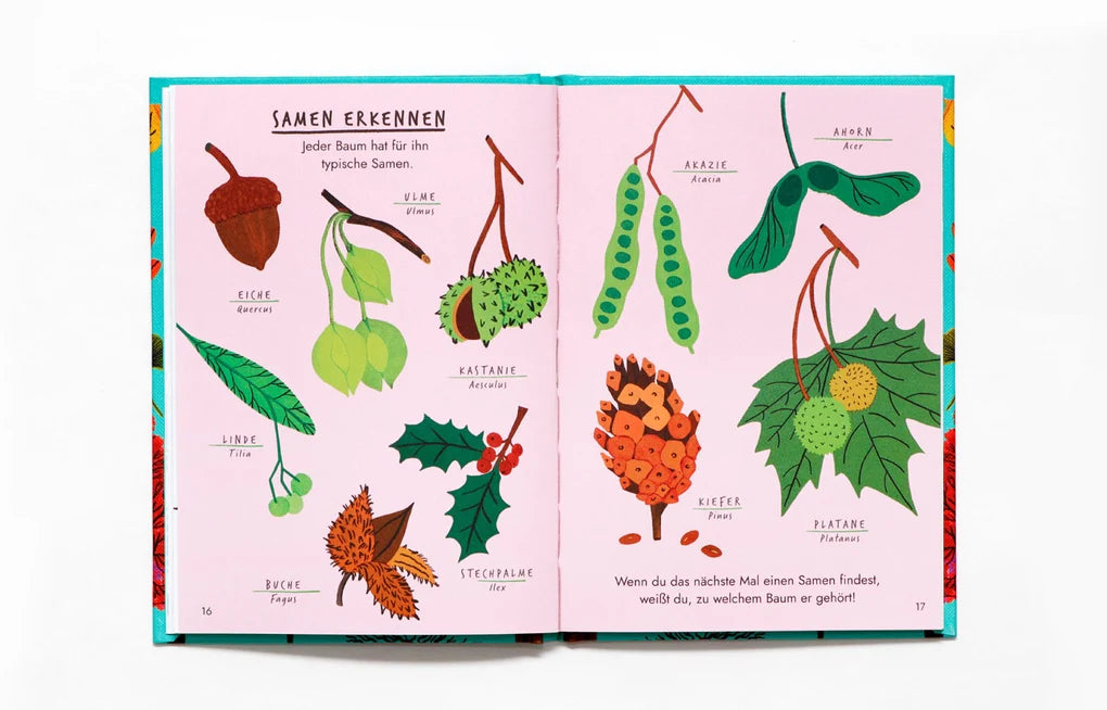 Hallo Bäume, Laurence King Verlag, Buch, Naturführer