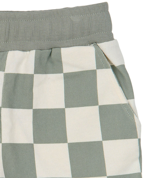 The New TNSTSebastian Shorts, aqua gray AOP