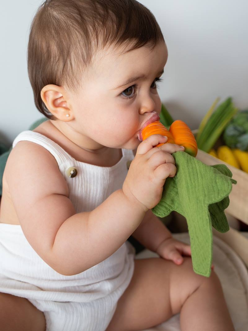 Oli&Carol Cathy the Carrot Mini Doudou Teether, Beißring Karotten