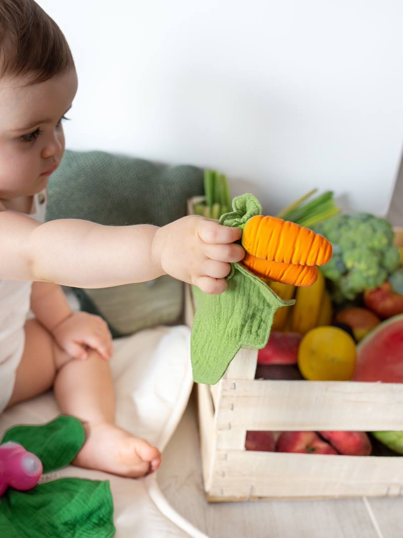 Oli&Carol Cathy the Carrot Mini Doudou Teether, Beißring Karotten