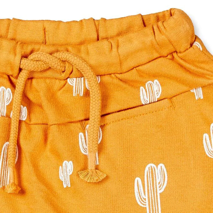 Sense Organics Candy Baby Sweat Pant Cactus Curry