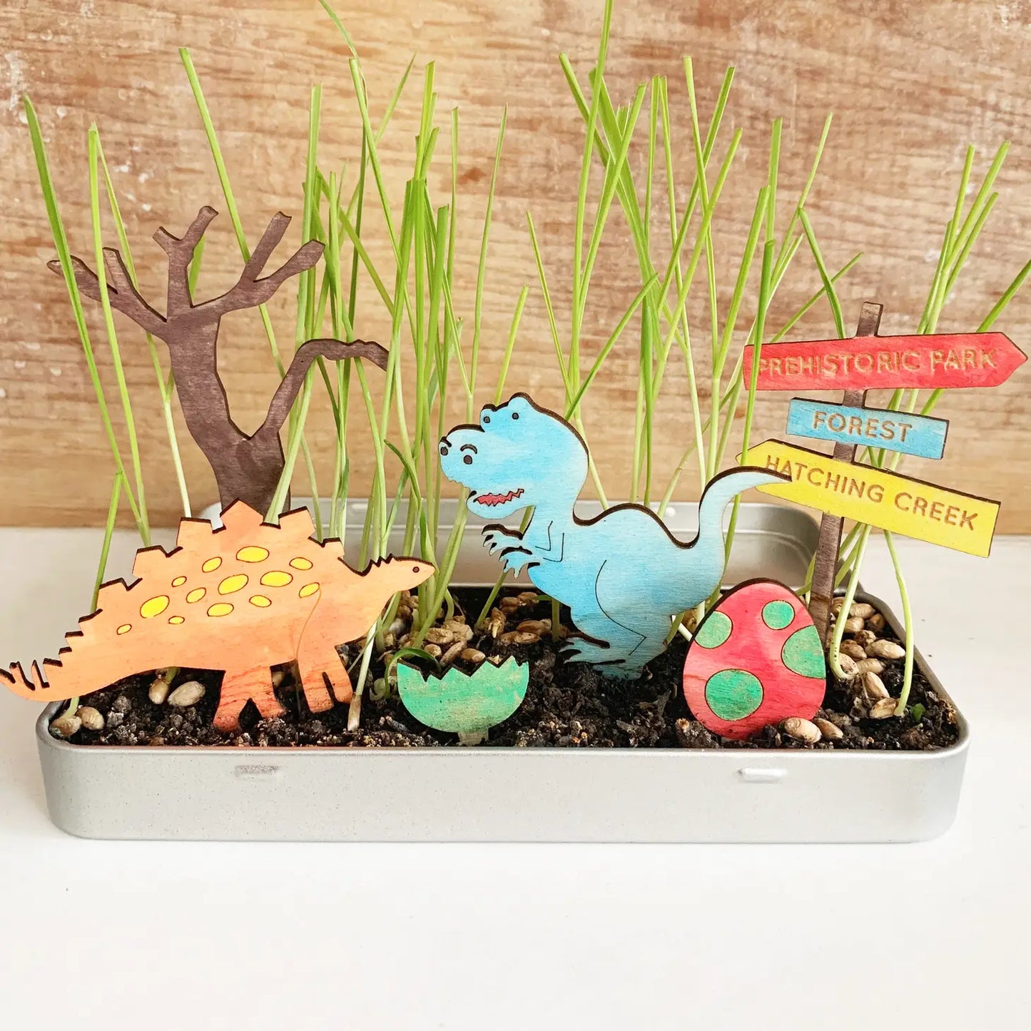 Cotton Twist make your own Dinosaur Garden, Bastel-Set- eigener Dino-Garten