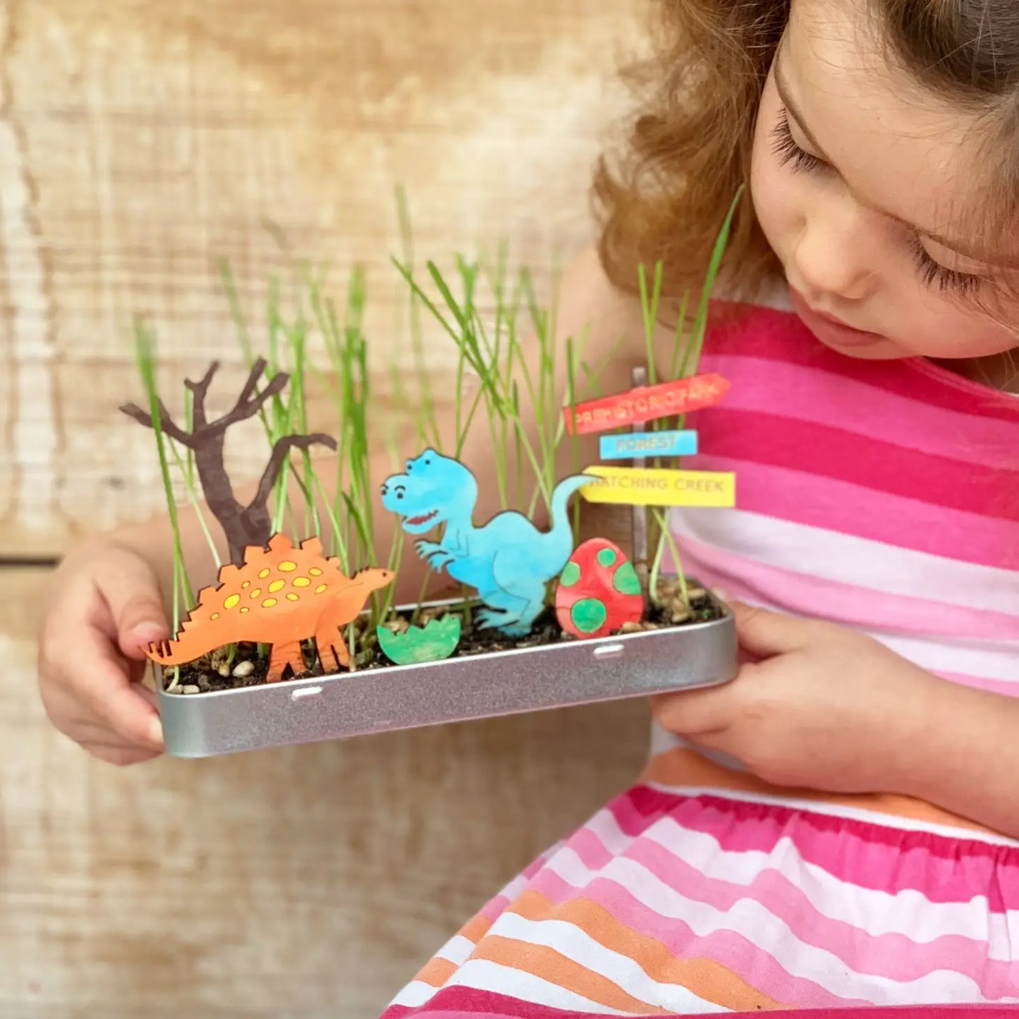 Cotton Twist make your own Dinosaur Garden, Bastel-Set- eigener Dino-Garten