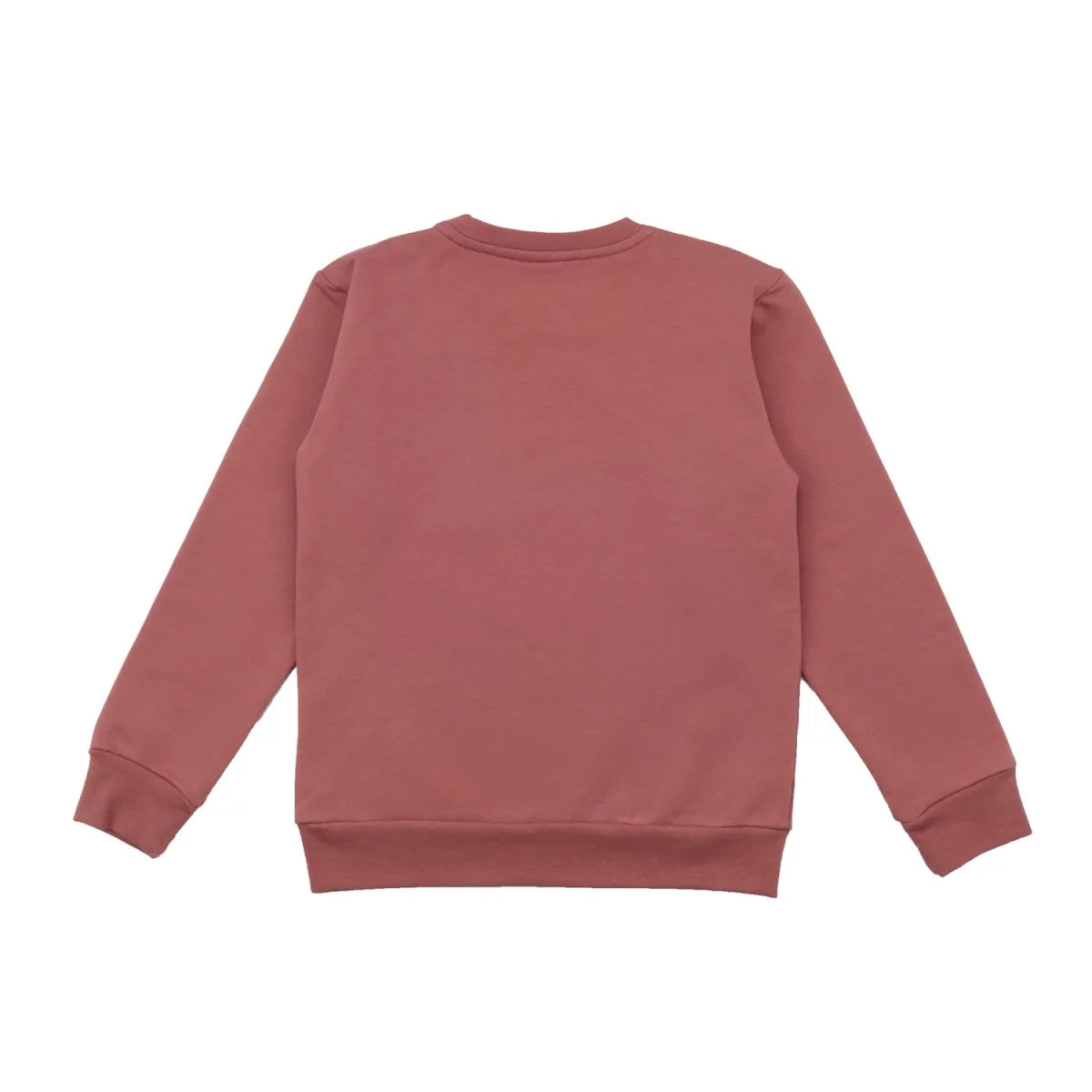 Walkiddy Sweatshirt Sparrow Friends