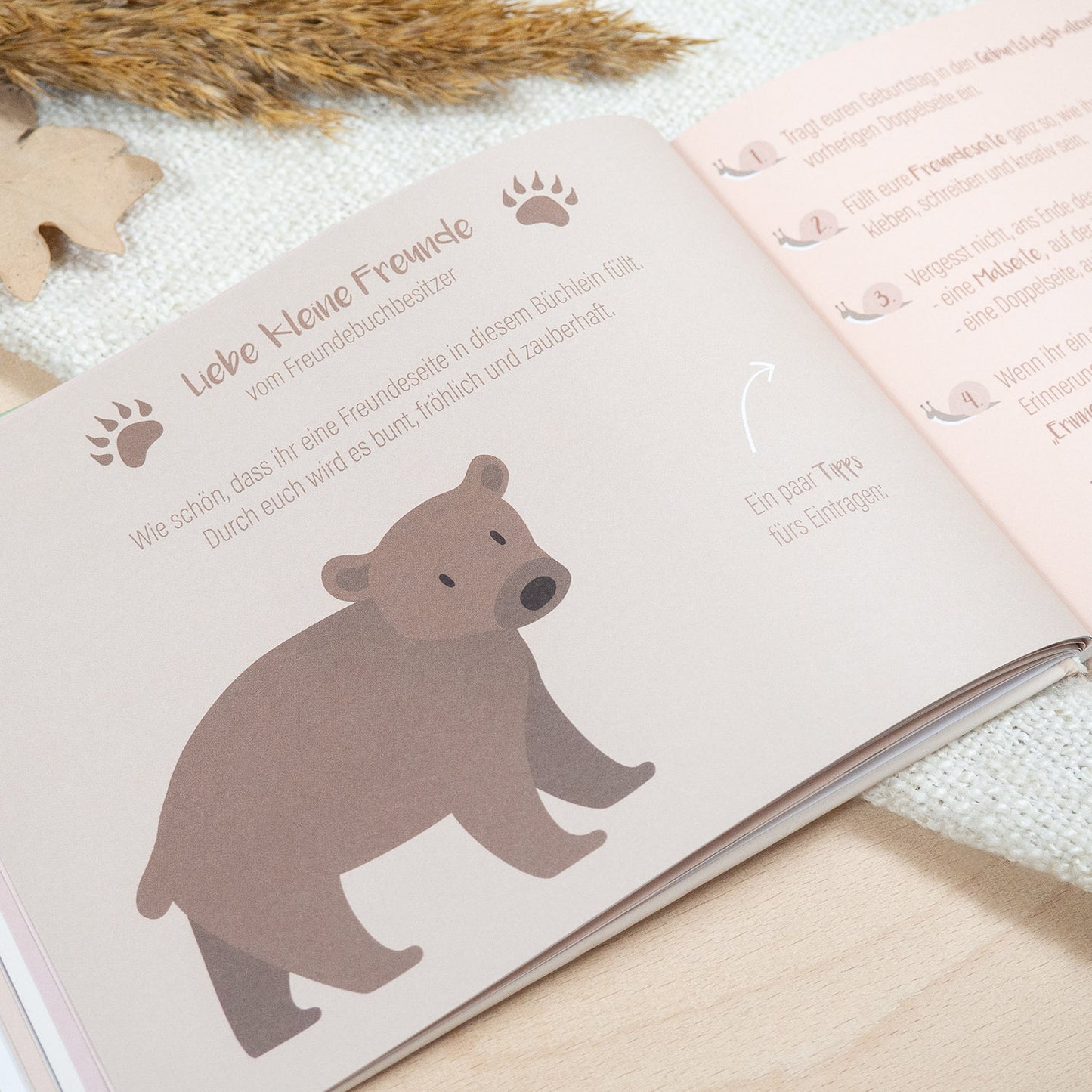 Mintkind Kindergartenfreundebuch Wald