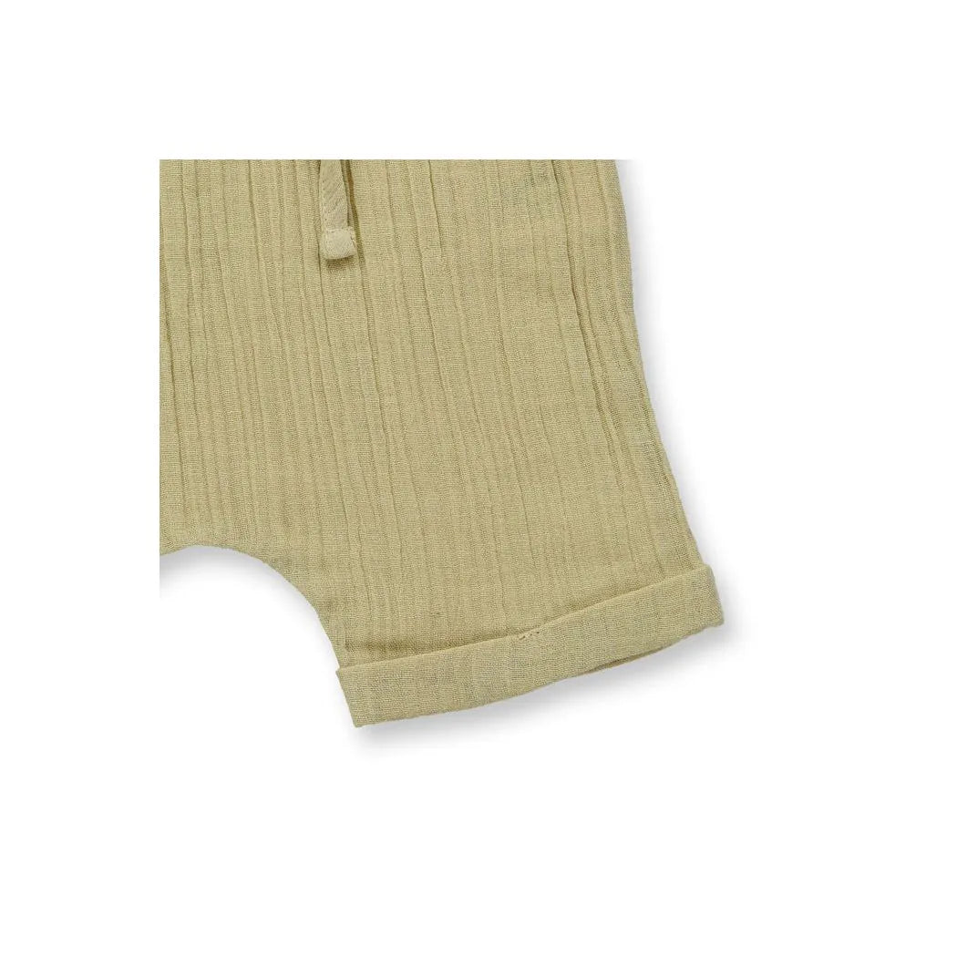 Sense Organics Charlie  Baby Shorts light reed