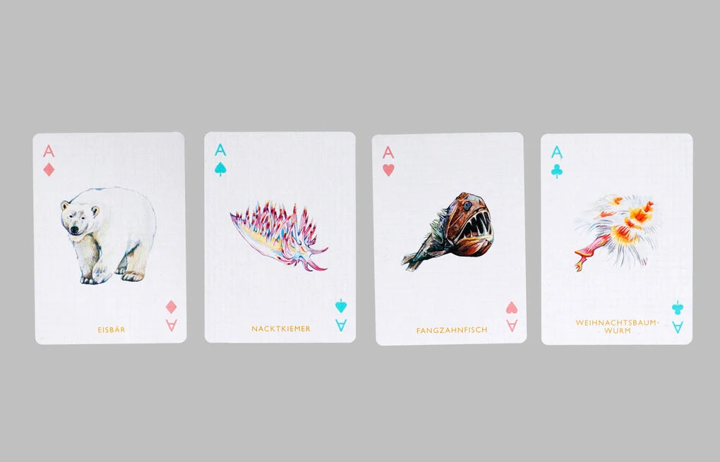 Laurence King Verlag, Meeres-Spielkarten, Exley