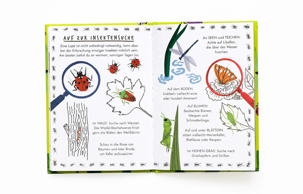 Laurence King, Hallo Insekten, Ein kleiner Naturführer