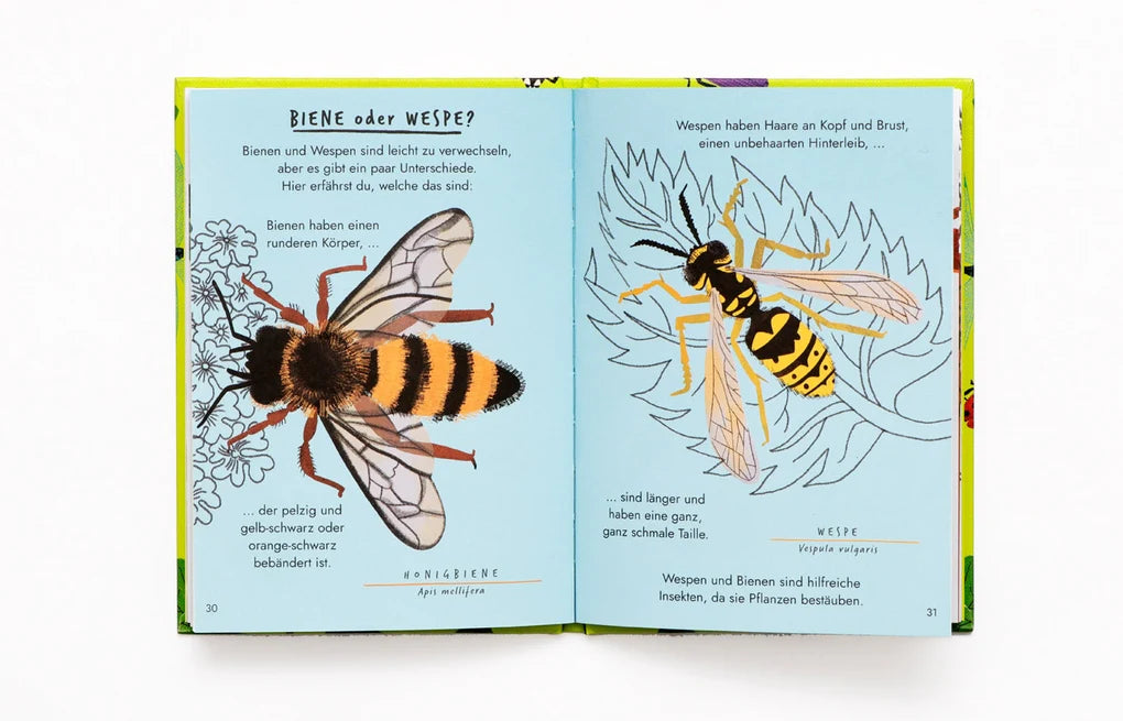 Laurence King, Hallo Insekten, Ein kleiner Naturführer