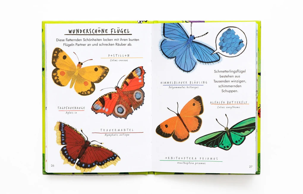 Laurence King, Hallo Insekten, Ein kleiner Naturführer