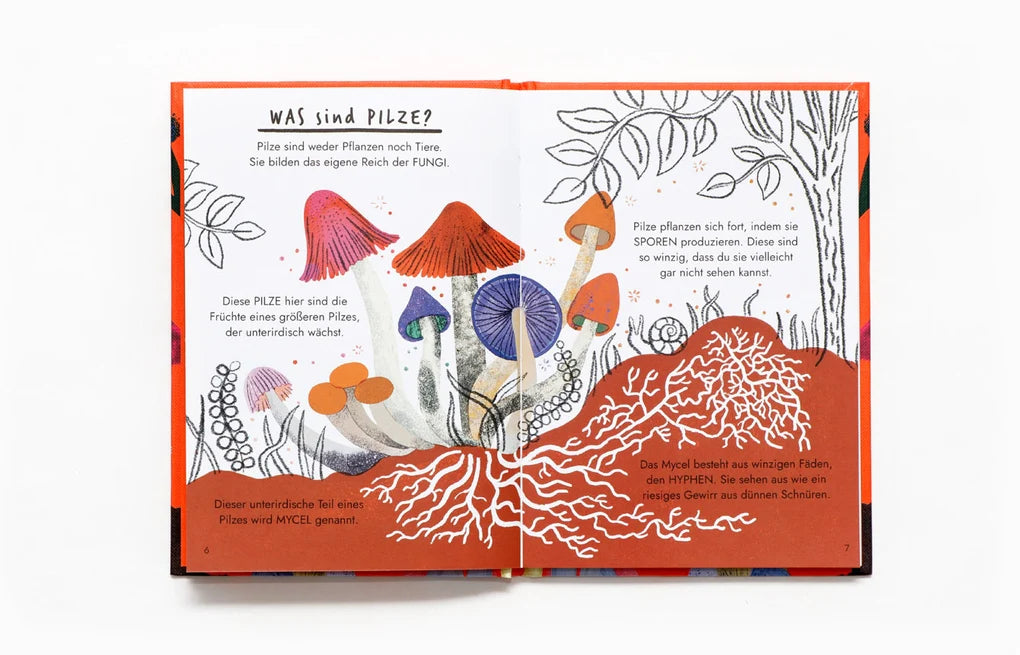 Hallo Pilze, Naturführer, Buch, Laurence King Verlag