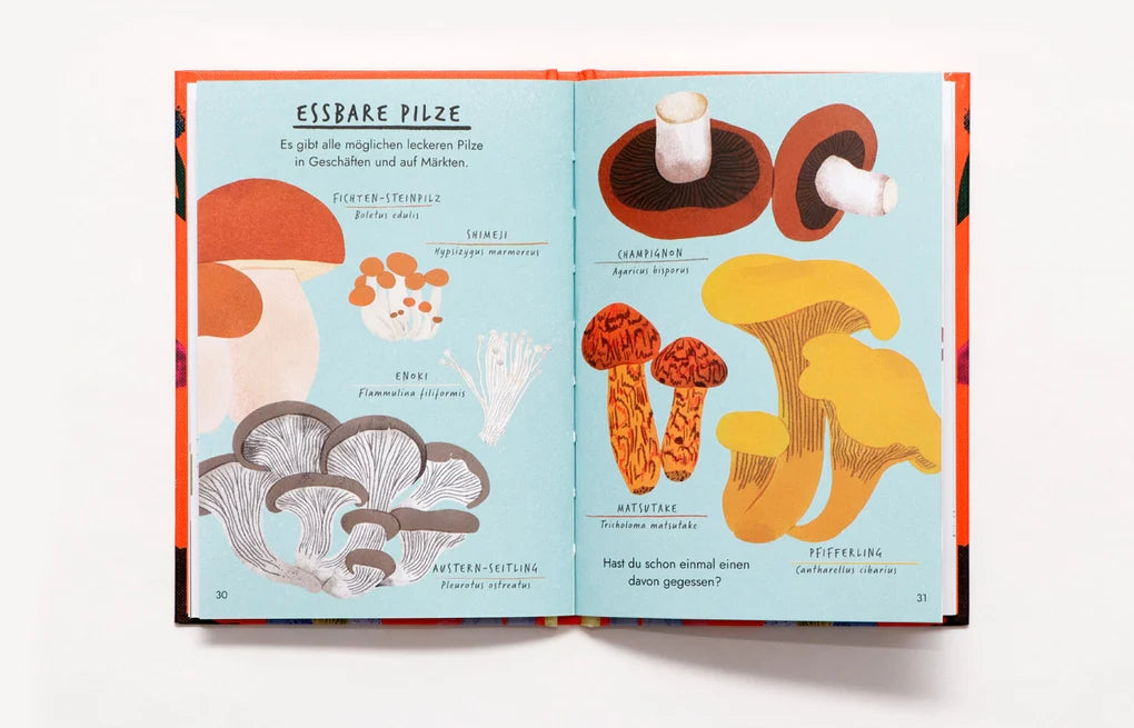 Hallo Pilze, Naturführer, Buch, Laurence King Verlag