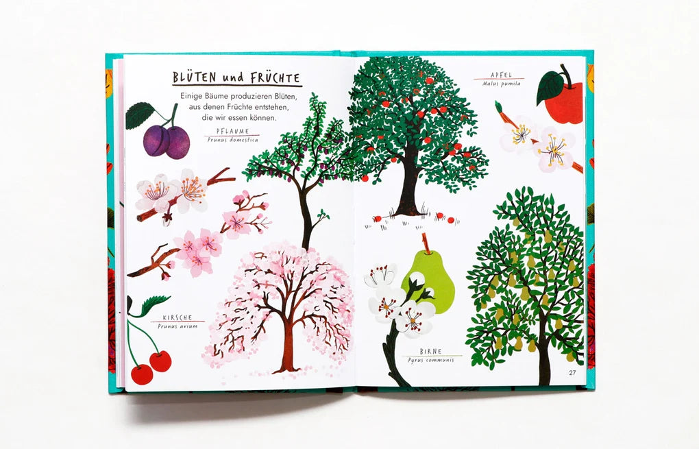 Hallo Bäume, Laurence King Verlag, Buch, Naturführer