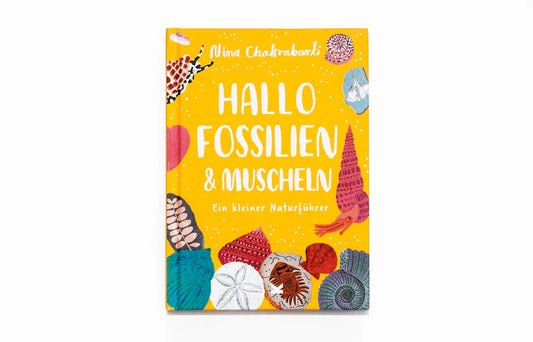 Laurence King Hallo Fossilien & Muscheln, Ein kleiner Naturführer