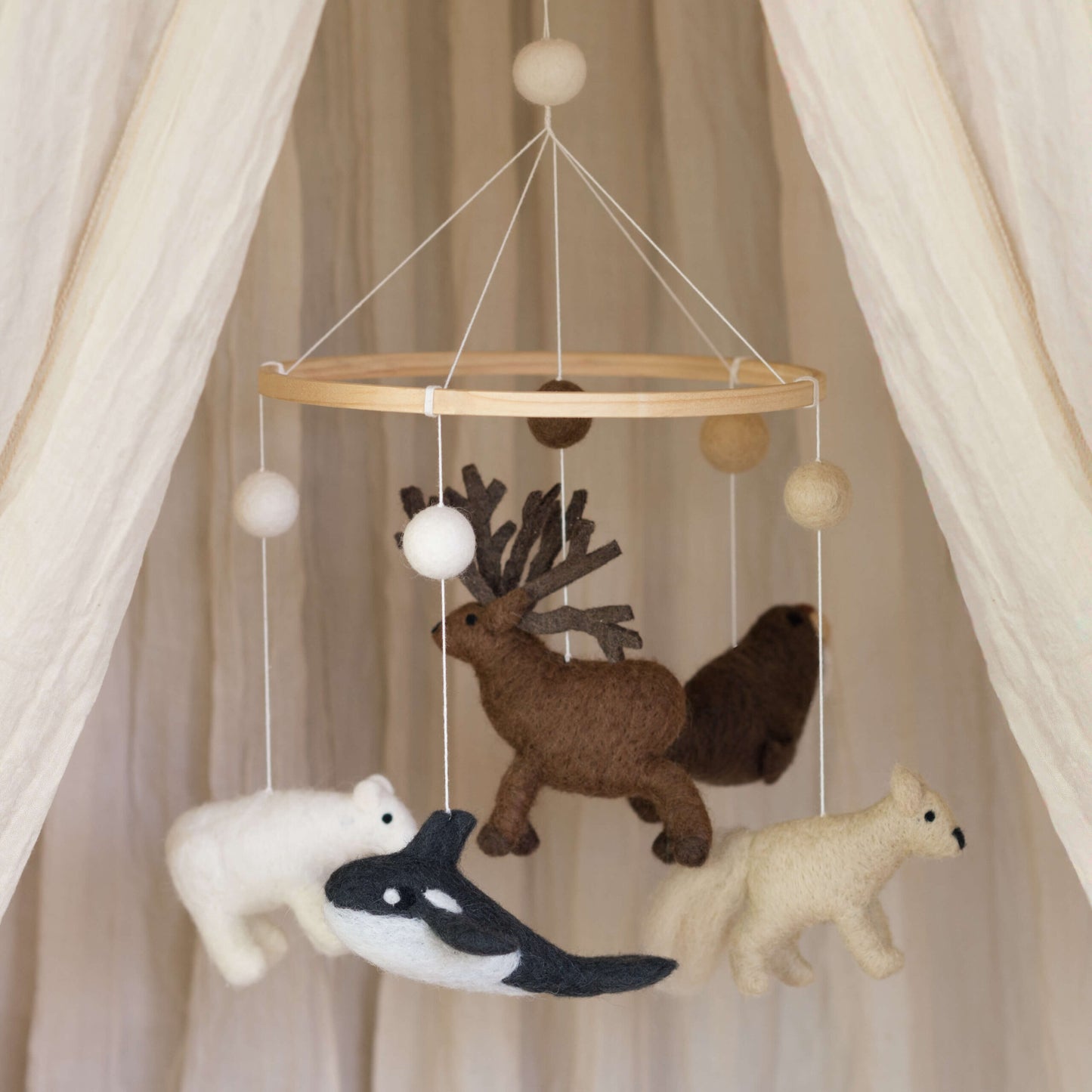 Baby Bello Mobile Antarktis