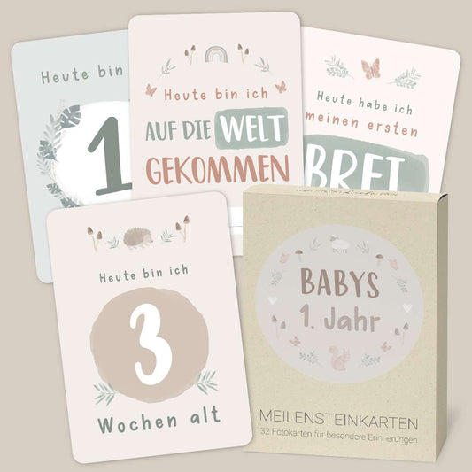 Mintkind Meilensteinkarten Babys 1.Jahr Wald