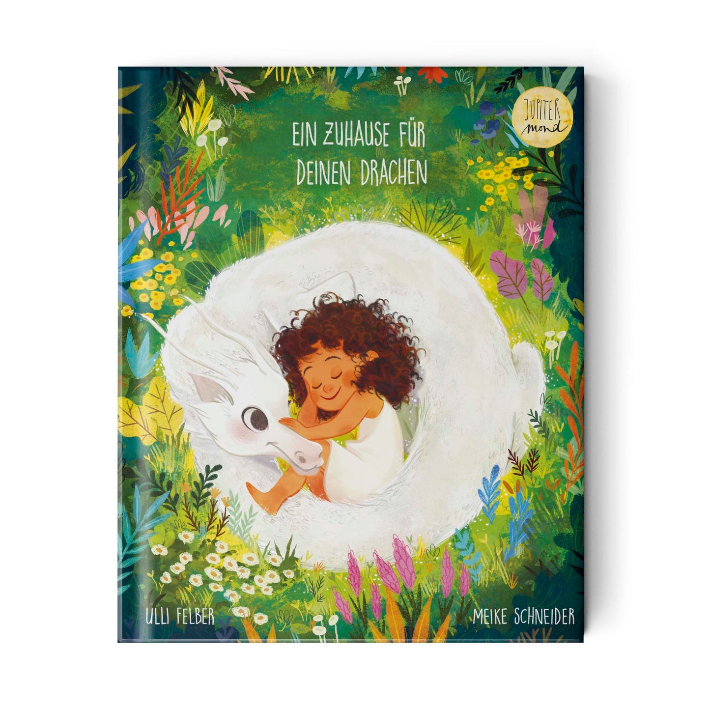 Ein Zuhause für deinen Drachen, Kinderbuch, Felber & Schneider