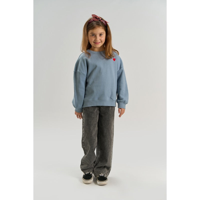 The New TNVolina Sweatshirt ashley blue