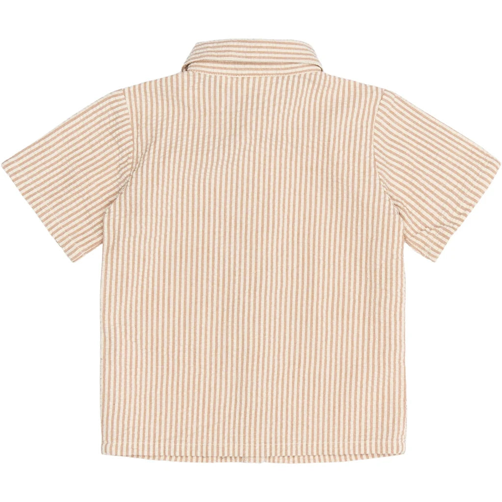 The New TNSTOPAL SS Shirt, Hemd, indian tan striped