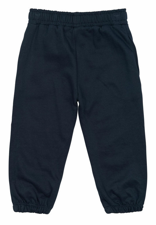 The New TNSTPetey Sweatpants navy blazer