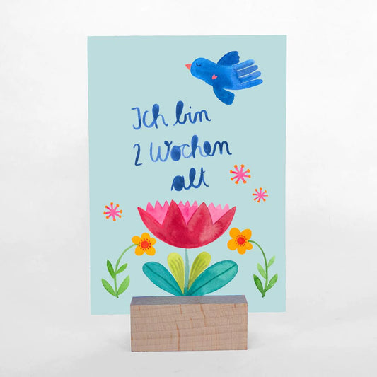 Frau Ottilie Baby Meilensteinkarten, Bär, wunderbare Welt