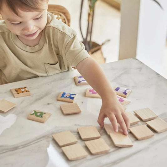 Plan Toys Tiermemo Holzspielzeug