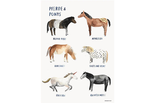 Gretas Schwester Poster Pferde und Ponys