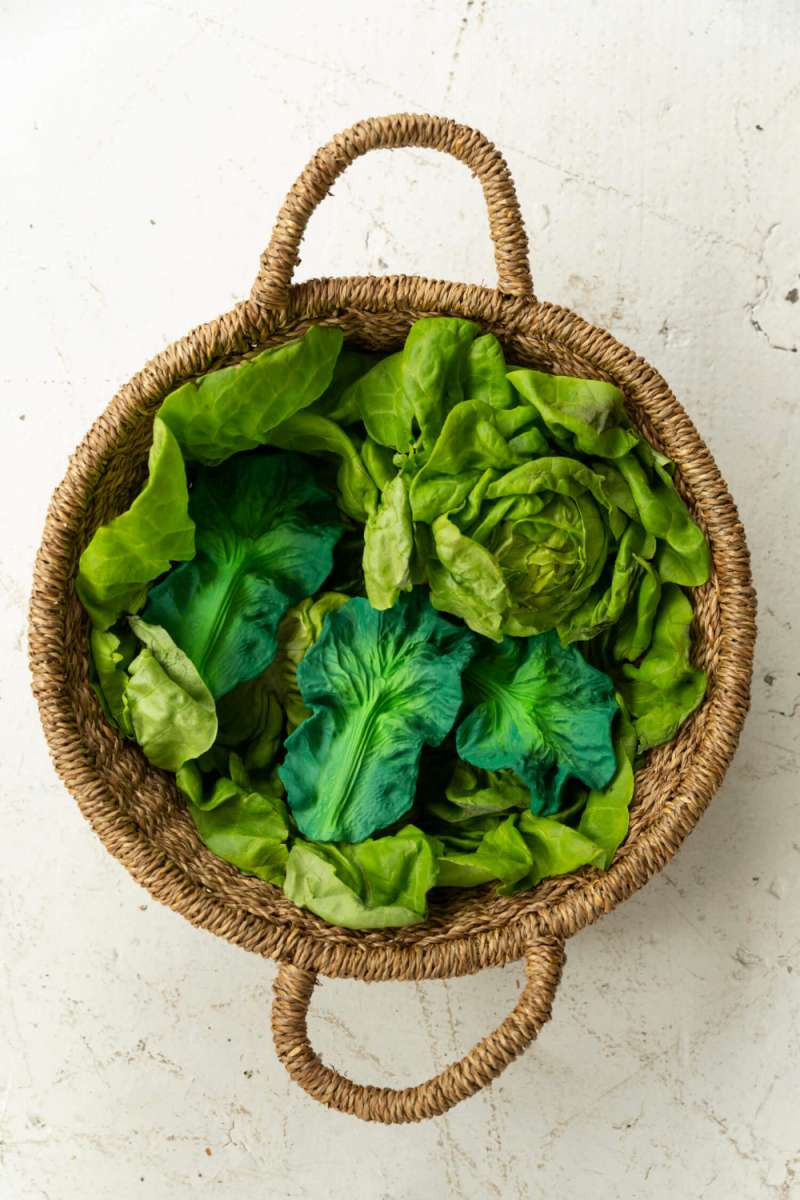 Oli&Carol Kendall the Kale, Beißring, Salatblatt