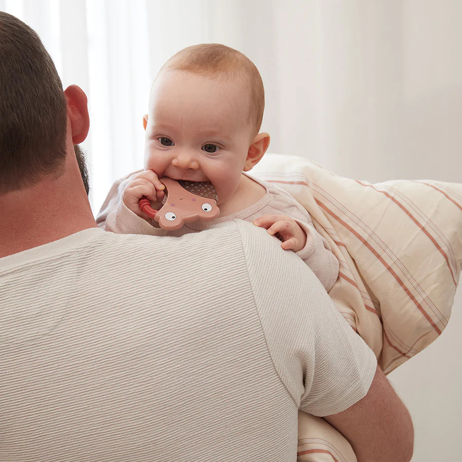 Filibabba Kühlbeißringe Biene und Raupe Set